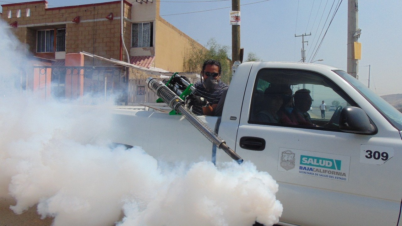 Advantages of Hiring a Pest Control Expert