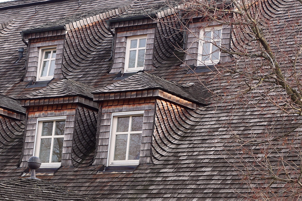 windows 
